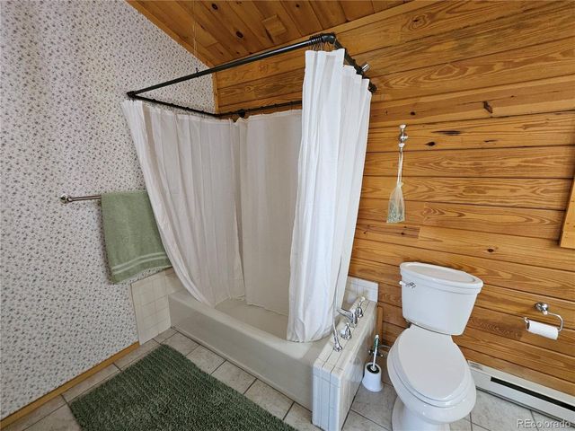 1666 High Creek Rd, Fairplay, CO 80440