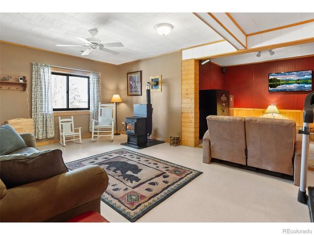 1666 High Creek Rd, Fairplay, CO 80440