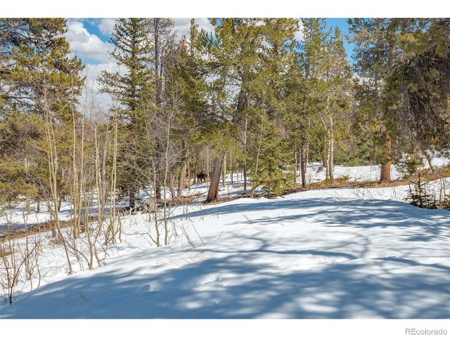 1666 High Creek Rd, Fairplay, CO 80440