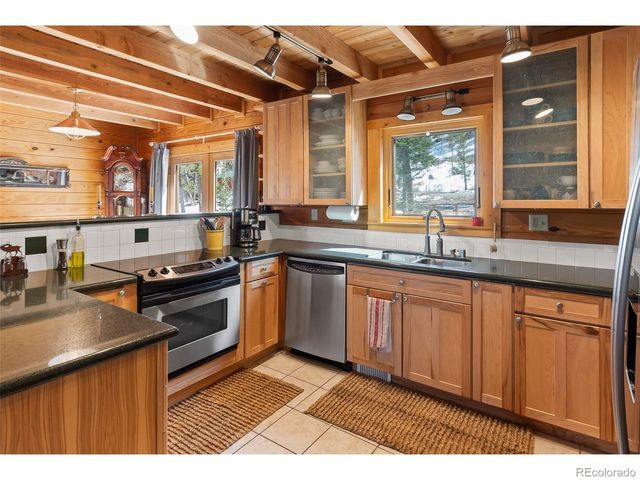 1666 High Creek Rd, Fairplay, CO 80440