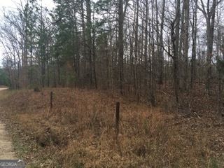 0 Vickers Road, Flovilla, GA 30216
