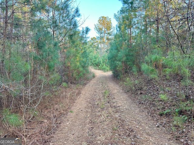 0 - TRACT 1 Mt Zion Church Road, Whitesburg, GA 30185