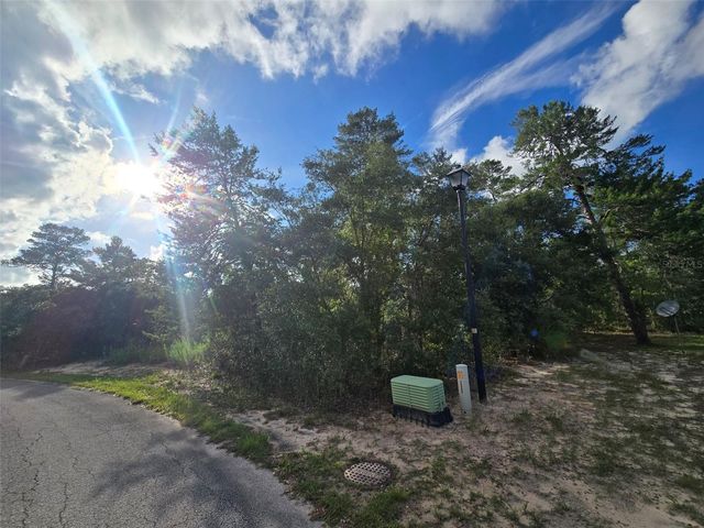 43 MATRICARIA COURT, Homosassa, FL 34446