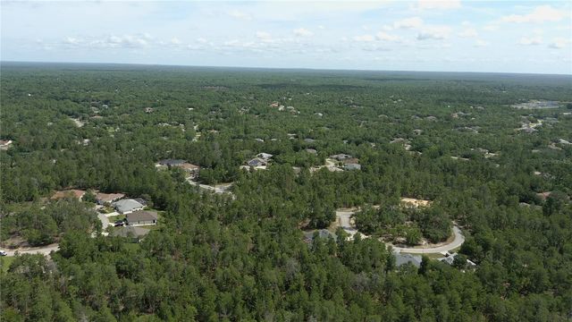 43 MATRICARIA COURT, Homosassa, FL 34446