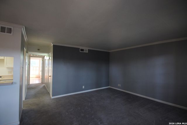 8401 N New Braunfels Ave Apt 331, San Antonio, TX 78209