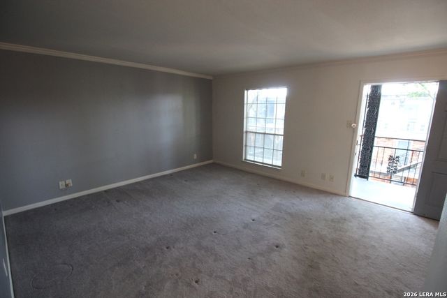 8401 N New Braunfels Ave Apt 331, San Antonio, TX 78209