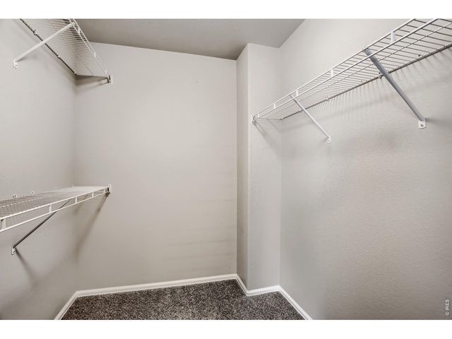 3464 Godwit Dr, Berthoud, CO 80513