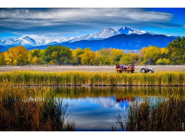 3464 Godwit Dr, Berthoud, CO 80513