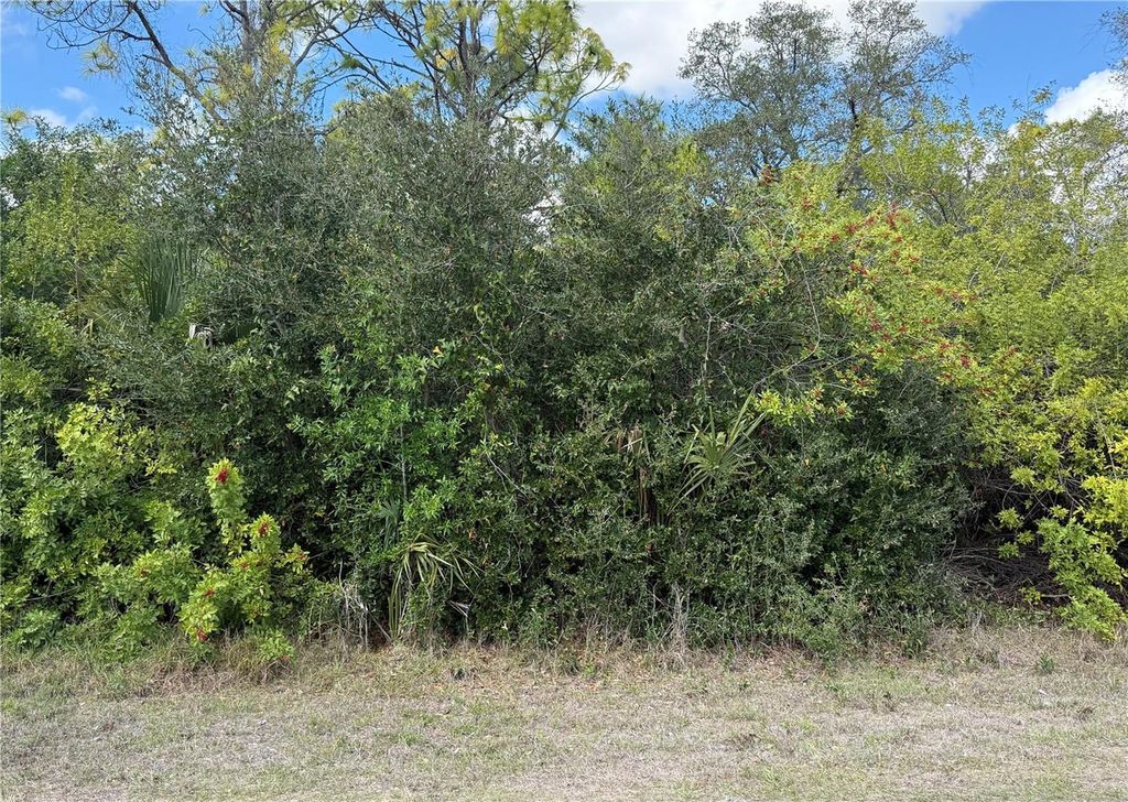 33 CHESHIRE STREET, Port Charlotte, FL 33953