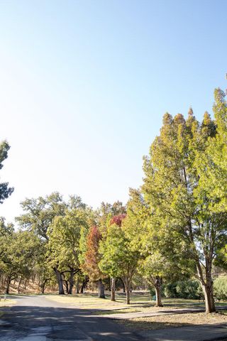 22738 River View Drive, Cottonwood, CA 96022