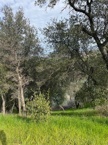 22738 River View Drive, Cottonwood, CA 96022