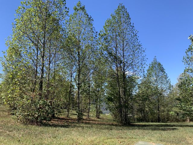 1130 Sunset Circle, Jasper, TN 37347