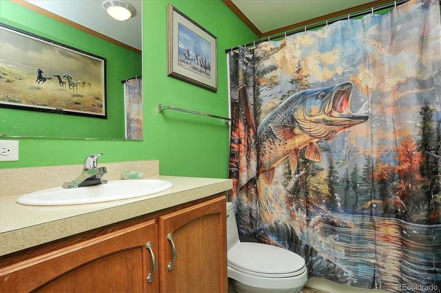 26794 County Road 320a, Buena Vista, CO 81211