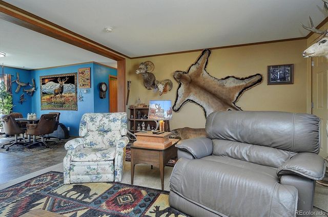 26794 County Road 320a, Buena Vista, CO 81211