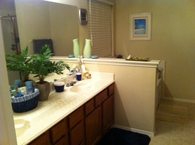 1801 Solitude Court, Allen, TX 75002