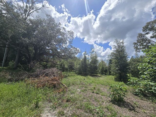 ST. PAUL DR, Spring Hill, FL 34610