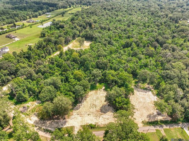 8176 Washington Ln, Central, LA 70739