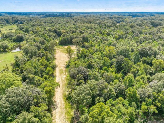 8176 Washington Ln, Central, LA 70739