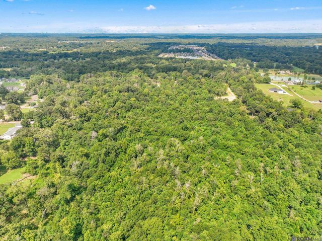 8176 Washington Ln, Central, LA 70739