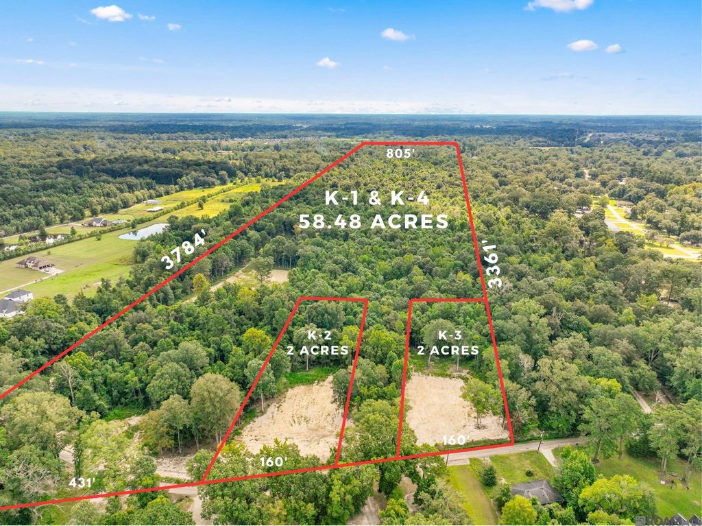 8176 Washington Ln, Central, LA 70739