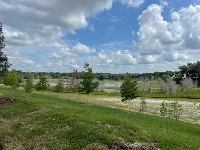 2332 LITCHFIELD LOOP, Deland, FL 32720