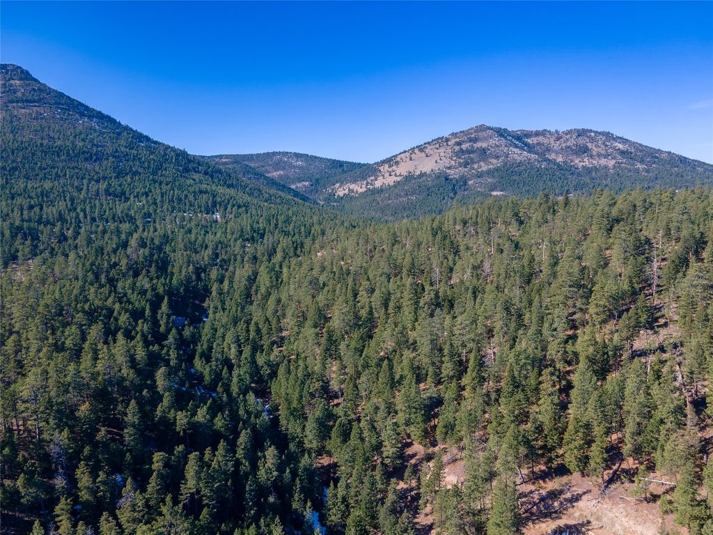 4047 Little Wolf Creek Road, Wolf Creek, MT 59648 photo 3