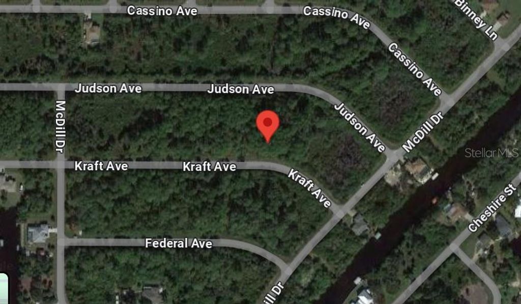 12196 KRAFT AVENUE, Port Charlotte, FL 33953