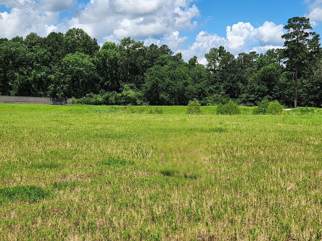 12855 Bentwood Farms Trace, Montgomery, TX 77356