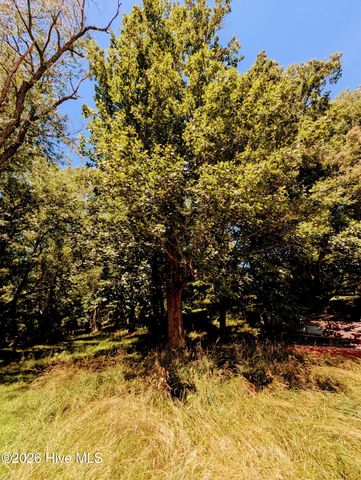 169 E Vineyard Road, Hayesville, NC 28904