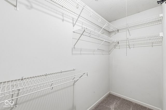 11537 Coastal Drive, Indianapolis, IN 46229