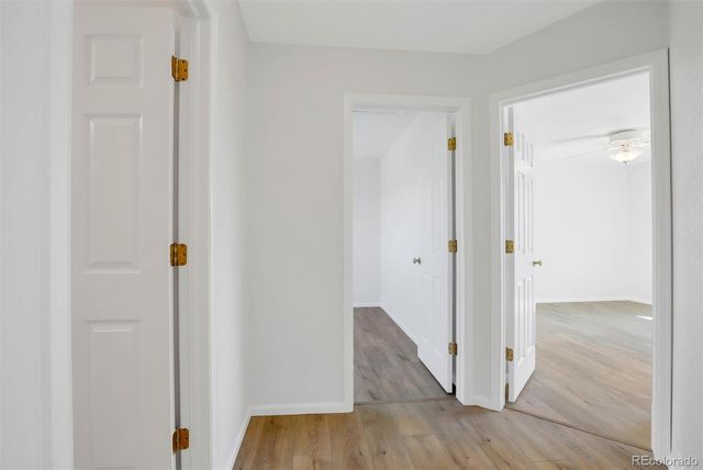 10089 Cedaridge Way, Highlands Ranch, CO 80129