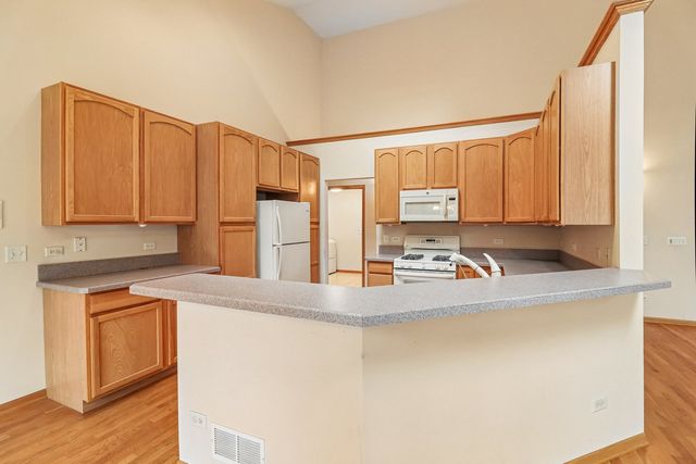 10899 Swallow Tail Lane, Frankfort, IL 60423