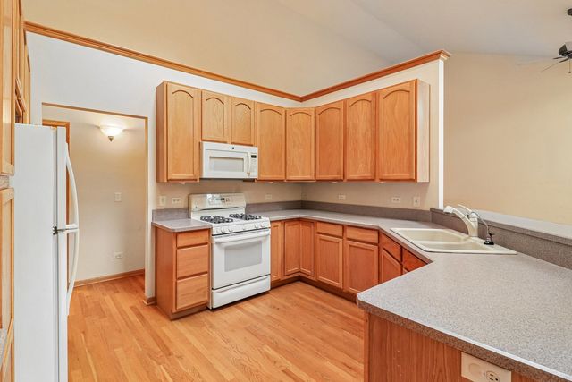 10899 Swallow Tail Lane, Frankfort, IL 60423