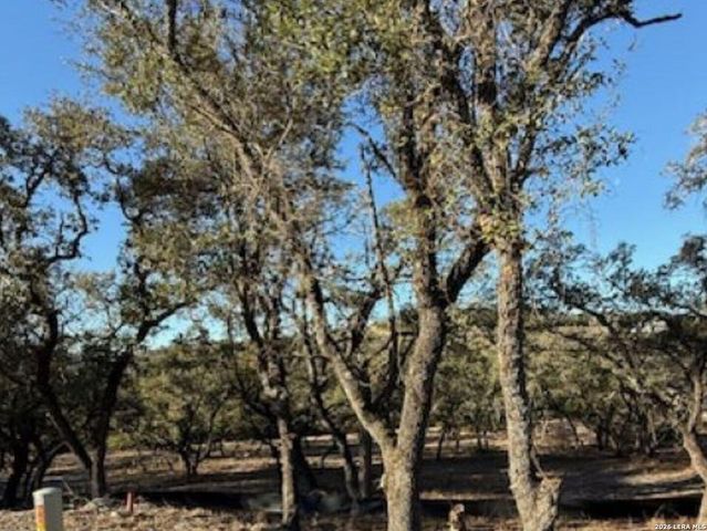 LOT 52 Clear Water Cyn, Helotes, TX 78023