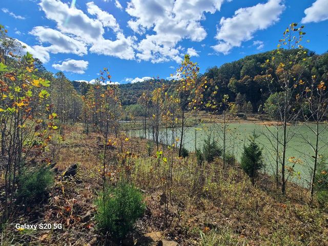 Parcel 1 & 2 Lazy Bee Lane, Vanceburg, KY 41179