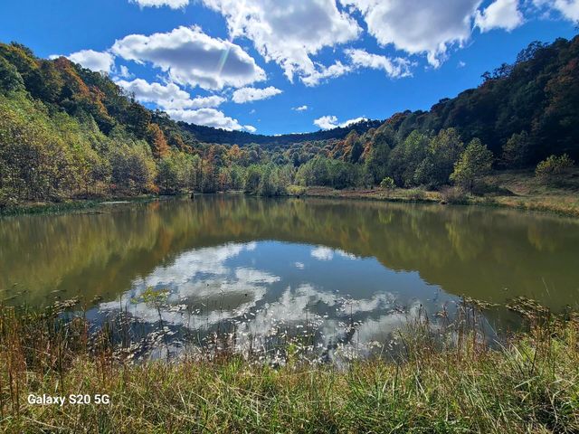 Parcel 1 & 2 Lazy Bee Lane, Vanceburg, KY 41179