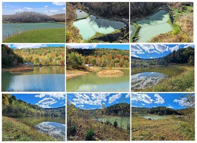 Parcel 1 & 2 Lazy Bee Lane, Vanceburg, KY 41179