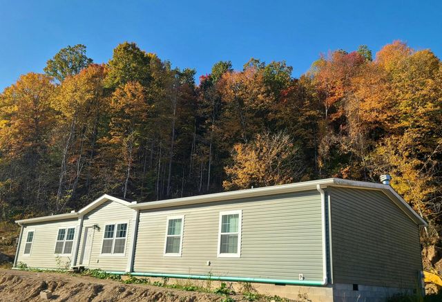 Parcel 1 & 2 Lazy Bee Lane, Vanceburg, KY 41179