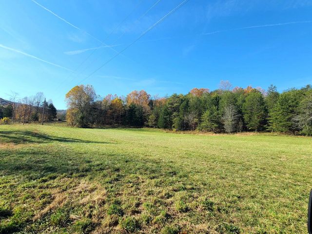 Parcel 1 & 2 Lazy Bee Lane, Vanceburg, KY 41179