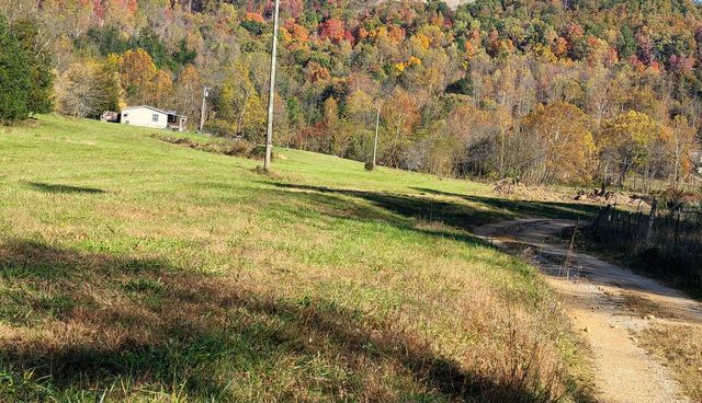 Parcel 1 & 2 Lazy Bee Lane, Vanceburg, KY 41179