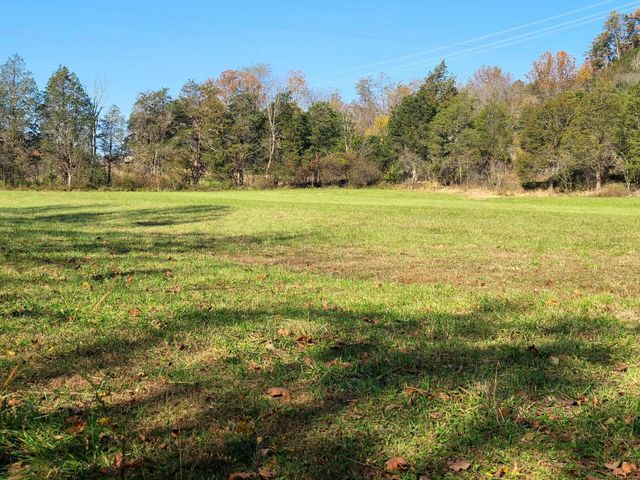 Parcel 1 & 2 Lazy Bee Lane, Vanceburg, KY 41179