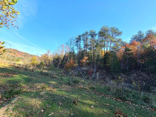 Parcel 1 & 2 Lazy Bee Lane, Vanceburg, KY 41179