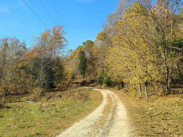 Parcel 1 & 2 Lazy Bee Lane, Vanceburg, KY 41179