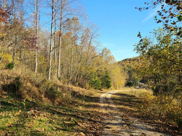 Parcel 1 & 2 Lazy Bee Lane, Vanceburg, KY 41179