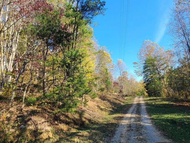 Parcel 1 & 2 Lazy Bee Lane, Vanceburg, KY 41179