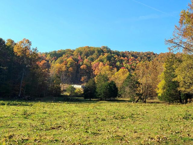 Parcel 1 & 2 Lazy Bee Lane, Vanceburg, KY 41179