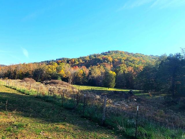 Parcel 1 & 2 Lazy Bee Lane, Vanceburg, KY 41179