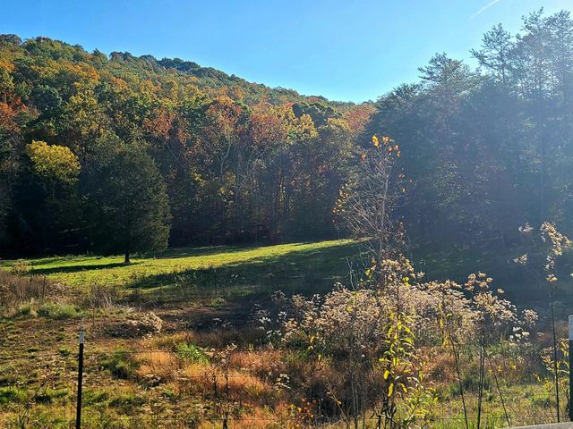 Parcel 1 & 2 Lazy Bee Lane, Vanceburg, KY 41179