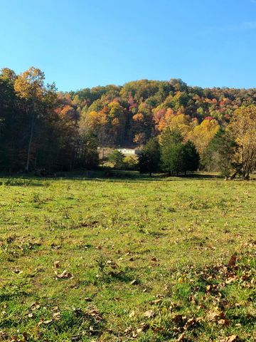 Parcel 1 & 2 Lazy Bee Lane, Vanceburg, KY 41179