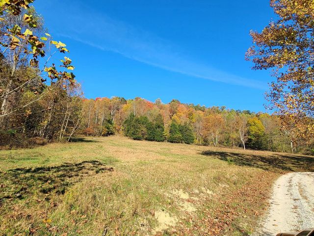 Parcel 1 & 2 Lazy Bee Lane, Vanceburg, KY 41179